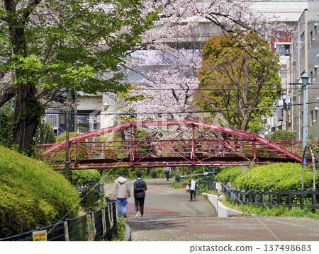 八幡橋(原名壇上橋)重要文化財產,江東區 八幡橋(原名壇上橋)重要文化財產,江東區 137498683