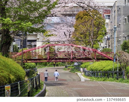 Hachiman Bridge (formerly Danjo Bridge) Important Cultural Property, Koto Ward 137498685