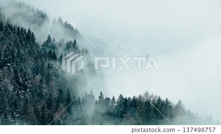 Aerial View of Winter Mountain Forest with Clouds 137498757