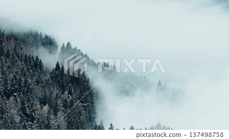 Aerial View of Winter Mountain Forest with Clouds Aerial View of Winter Mountain Forest with Clouds 137498758