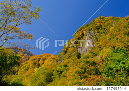 Nunoiwa Rock and autumn leaves in Akiyamago 137498944