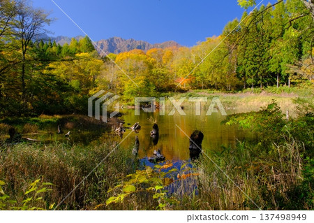 長野縣秋山鄉的天池池和秋葉林 137498949