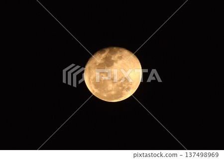 bright yellow full moon floating on sky in night background bright yellow full moon floating on sky in night background 137498969
