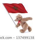 Morocco flag being carried by a cute teddy bear 137499138