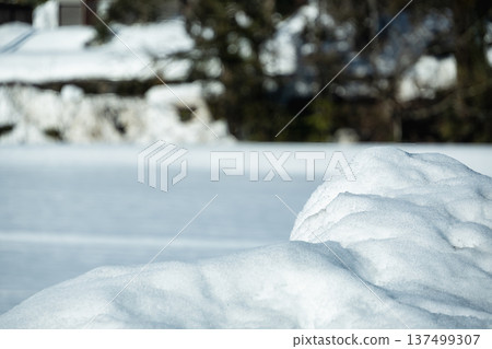 Snow scene with texture and bokeh of fresh snow shining in the winter sunlight 137499307