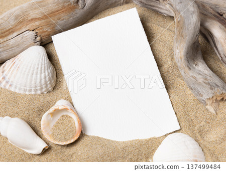 Mockup of blank card on beige sand with seashells, template for beach wedding and event graphics 137499484