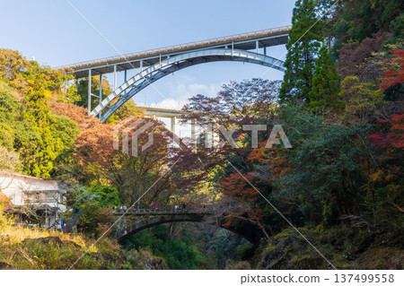 Takachiho Town, Miyazaki Prefecture in autumn: Takachiho Gorge with autumn leaves, Takachiho Three Bridges 137499558