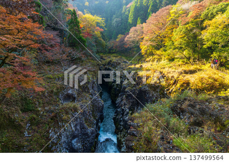 宮崎縣高千穗町高千穗峽谷秋季紅葉 宮崎縣高千穗町高千穗峽谷秋季紅葉 137499564