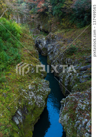 宮崎縣高千穗町高千穗峽谷秋季紅葉 宮崎縣高千穗町高千穗峽谷秋季紅葉 137499565