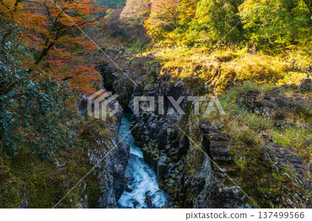 宮崎縣高千穗町高千穗峽谷秋季紅葉 137499566