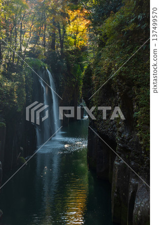 宮崎縣高千穗町的秋季：高千穗峽谷的秋葉和真奈瀑布 137499570
