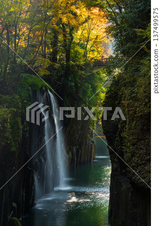 Takachiho Town, Miyazaki Prefecture in autumn: Takachiho Gorge with autumn leaves and Manai Falls Takachiho Town, Miyazaki Prefecture in autumn: Takachiho Gorge with autumn leaves and Manai Falls 137499575