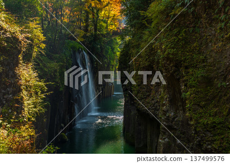 Takachiho Town, Miyazaki Prefecture in autumn: Takachiho Gorge with autumn leaves and Manai Falls Takachiho Town, Miyazaki Prefecture in autumn: Takachiho Gorge with autumn leaves and Manai Falls 137499576