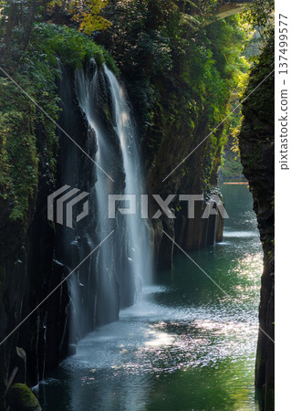 宮崎縣高千穗町的秋季：高千穗峽谷的秋葉和真奈瀑布 137499577