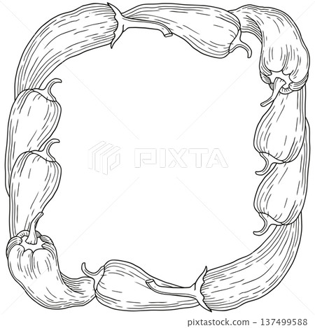 Hand-drawn frame made of fresh chili and ramiro pepper graphic sketch for product design isolated on white background Hand-drawn frame made of fresh chili and ramiro pepper graphic sketch for product design isolated on white background 137499588
