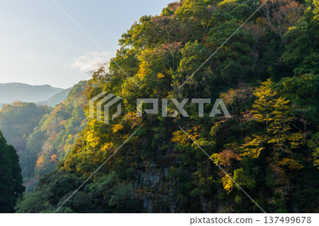 Takachiho Gorge in autumn, Takachiho Town, Miyazaki Prefecture - Autumn leaves Takachiho Gorge in autumn, Takachiho Town, Miyazaki Prefecture - Autumn leaves 137499678