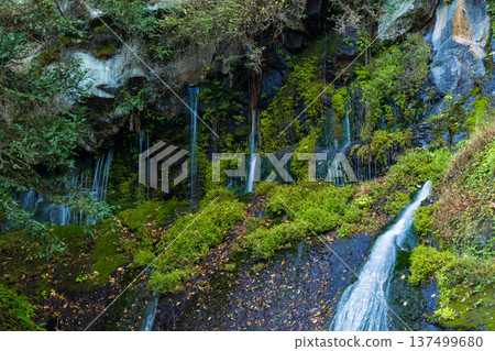 秋季的宮崎縣高千穗町，高千穗峽的紅葉，玉垂瀑布 137499680