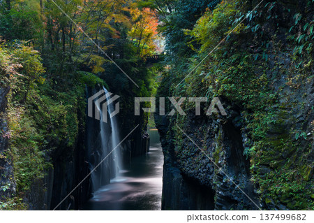 宮崎縣高千穗町的秋季:高千穗峽谷的秋葉和真奈瀑布 宮崎縣高千穗町的秋季:高千穗峽谷的秋葉和真奈瀑布 137499682