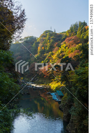 宮崎縣高千穗町高千穗峽谷秋季紅葉 宮崎縣高千穗町高千穗峽谷秋季紅葉 137499683
