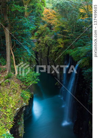 宮崎縣高千穗町的秋季:高千穗峽谷的秋葉和真奈瀑布 宮崎縣高千穗町的秋季:高千穗峽谷的秋葉和真奈瀑布 137499685