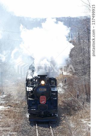 SL 冬季濕地列車，森莫本線，SL 列車，蒸汽機車，C11 171 137499915