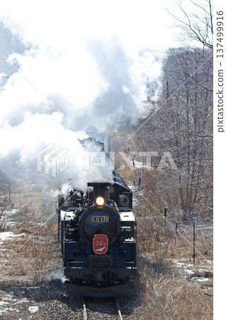 SL Winter Wetlands Train, Senmo Main Line, SL Train, Steam Locomotive, C11 171 137499916