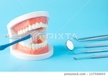 Oral care image 03 137500043