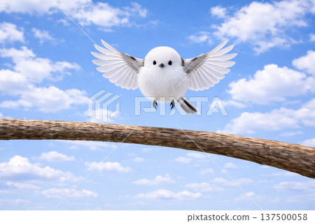 Cute striped long-tailed tit 137500058