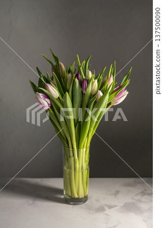 Spring floral background. Fresh purple, pink and white tulips flowers bouquet in glass vase. Dark moody. Mother's day Spring floral background. Fresh purple, pink and white tulips flowers bouquet in glass vase. Dark moody. Mother's day 137500090