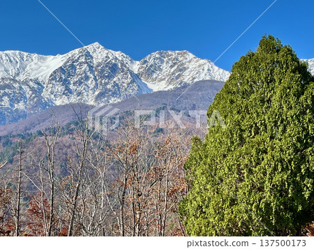 The contrast between the remaining snow on the Shiramine Sanzan mountains and the fresh greenery The contrast between the remaining snow on the Shiramine Sanzan mountains and the fresh greenery 137500173