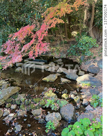 Landscape with a stream and autumn leaves Landscape with a stream and autumn leaves 137500174