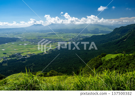 The prairie of Aso The prairie of Aso 137500382