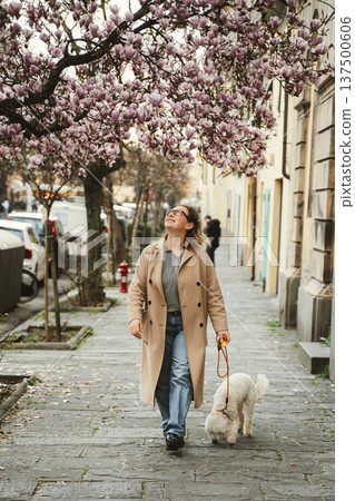 Woman Walking Dog Under Blooming Magnolia Tree Woman Walking Dog Under Blooming Magnolia Tree 137500606