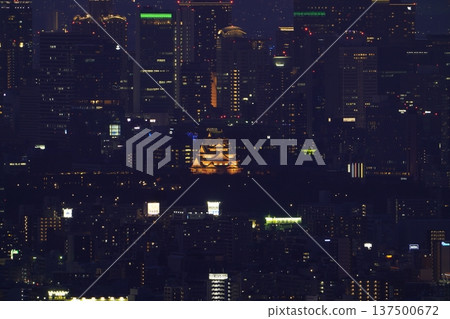 大阪城在2026年世界婦女節亮起黃燈 137500672