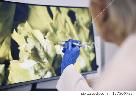 Science, hand and computer monitor in a laboratory for research, innovation or sustainability. Technology, future and ecology with a scientist in a lab to study biology or plant life closeup 137500755
