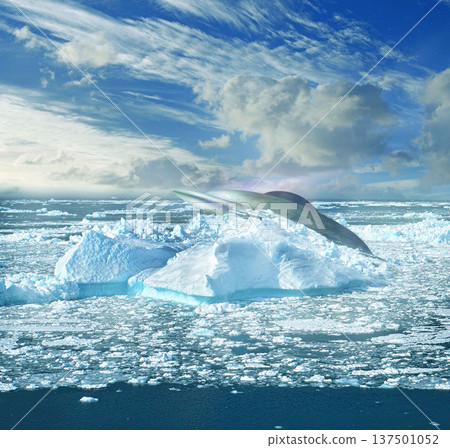 Alien, snow and crash landing with a UFO on a blue sky in winter for an extraterrestrial discovery or fantasy. Universe, iceberg and spaceship in nature for future, innovation or sci fi research Alien, snow and crash landing with a UFO on a blue sky in winter for an extraterrestrial discovery or fantasy. Universe, iceberg and spaceship in nature for future, innovation or sci fi research 137501052