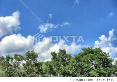 August Clouds-101 137501659