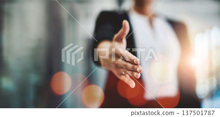 Business person, shaking hands and job interview for Human Resources meeting, welcome or partnership POV. Professional client, handshake offer and recruitment, HR hiring and thank you or introduction 137501787