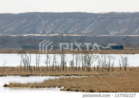 Steam locomotive Winter Wetlands train running along the shores of Lake Shirarutoro. Senmo Main Line. Steam locomotive train. C11 171. Steam locomotive Winter Wetlands train running along the shores of Lake Shirarutoro. Senmo Main Line. Steam locomotive train. C11 171. 137502227