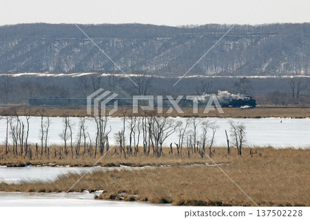Steam locomotive Winter Wetlands train running along the shores of Lake Shirarutoro. Senmo Main Line. Steam locomotive train. C11 171. 137502228