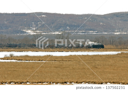 Steam locomotive Winter Wetlands train running along the shores of Lake Shirarutoro. Senmo Main Line. Steam locomotive train. C11 171. Steam locomotive Winter Wetlands train running along the shores of Lake Shirarutoro. Senmo Main Line. Steam locomotive train. C11 171. 137502231