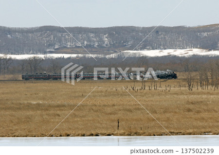 Steam locomotive Winter Wetlands train running along the shores of Lake Shirarutoro. Senmo Main Line. Steam locomotive train. C11 171. Steam locomotive Winter Wetlands train running along the shores of Lake Shirarutoro. Senmo Main Line. Steam locomotive train. C11 171. 137502239