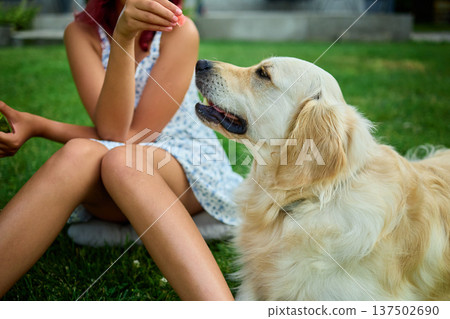 Teen girl enjoying a sunny day outdoors with her golden retriever dog in the backyard Teen girl enjoying a sunny day outdoors with her golden retriever dog in the backyard 137502690