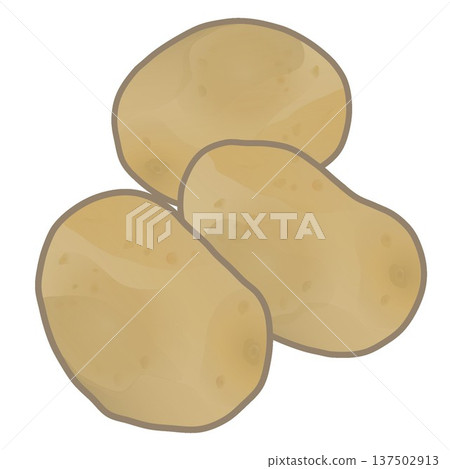 Potato illustration 137502913