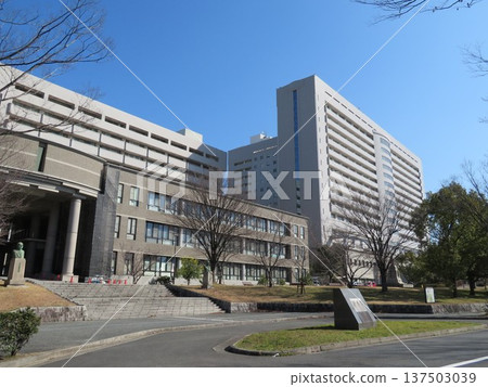 Osaka University Graduate School of Medicine / Faculty of Medicine 137503039