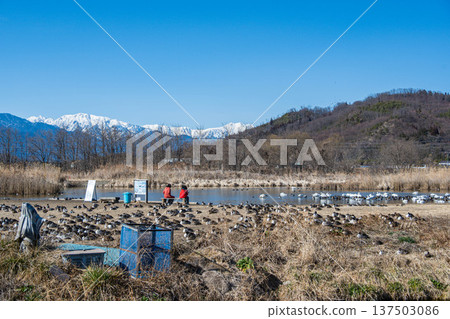 三保田水庫和北阿爾卑斯山脈 137503086
