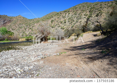 Salt River Recreation Area Arizona Salt River Recreation Area Arizona 137503186
