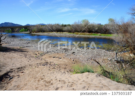 Salt River Recreation Area Arizona 137503187