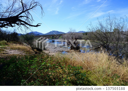 Salt River Recreation Area Arizona 137503188