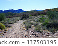 Salt River Recreation Area Arizona 137503195